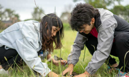 Córdoba participó de la Mesa de Articulación Provincial de cambio climático