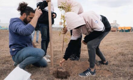 Río Cuarto: Avanza la forestación de la ciudad y este año se llegará a los 15 mil ejemplares
