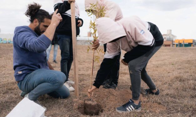 Río Cuarto: Avanza la forestación de la ciudad y este año se llegará a los 15 mil ejemplares