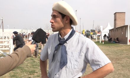 89º Expo Rural: se realizó la admisión de los equinos