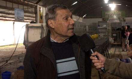 89º Expo Rural: destacada participación de productores de conejos