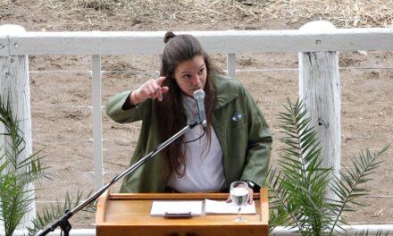 «Basta de reclamos a los jóvenes por el país pintado de violeta el 13/8, somos todos responsables»
