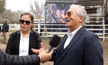 «Llaryora nos está haciendo jugadas políticas que no corresponden»