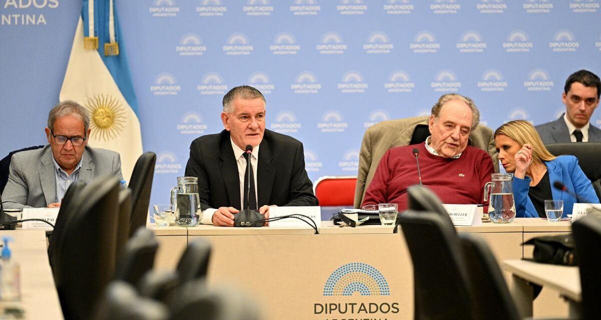 Abrió el debate del proyecto que establece la devolución del IVA