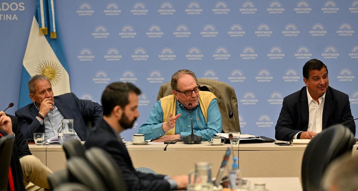 Devolución de IVA: el oficialismo en Diputados logró dictamen de comisión