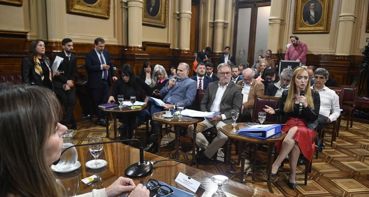El proyecto sobre devolución del IVA obtuvo dictamen en el Senado