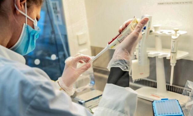 Promulgan la ley del Plan Nacional de Ciencia, Tecnología e Innovación 2030