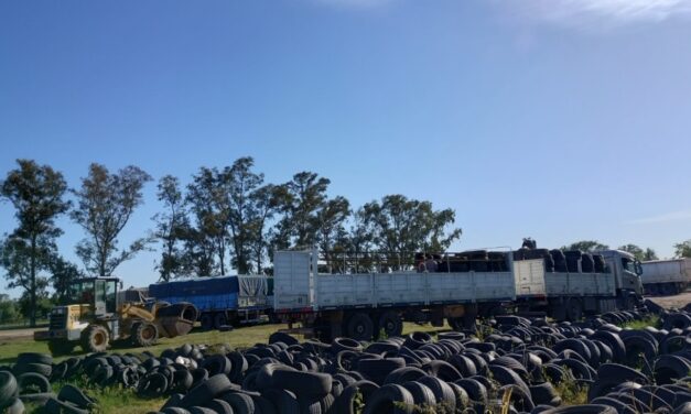 Laboulaye entregó 265 neumáticos usados para reciclaje