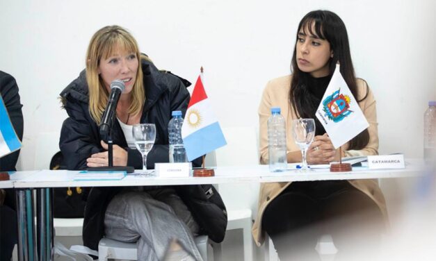 La Senaf participó en la sesión del Consejo Federal de Niñez, Adolescencia y Familia