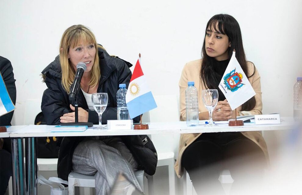 La Senaf participó en la sesión del Consejo Federal de Niñez, Adolescencia y Familia