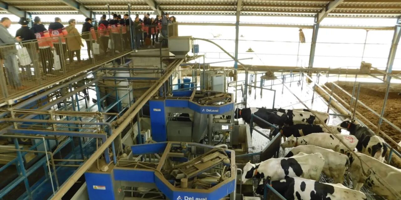 Alumnos del Instituto Adelia María visitaron el tambo robotizado de IMBO Agropecuaria