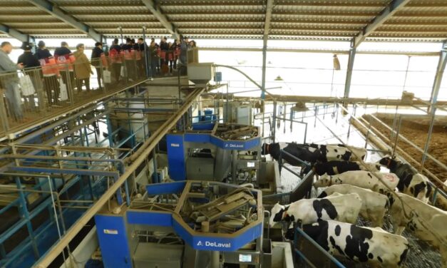 Alumnos del Instituto Adelia María visitaron el tambo robotizado de IMBO Agropecuaria