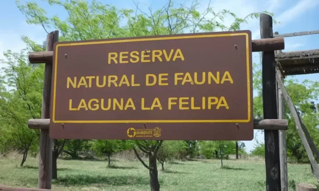 Ucacha: Avanza el Plan de Gestión para la Reserva Natural y de Fauna «Laguna La Felipa»