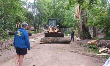 El temporal causó destrozos en Achiras