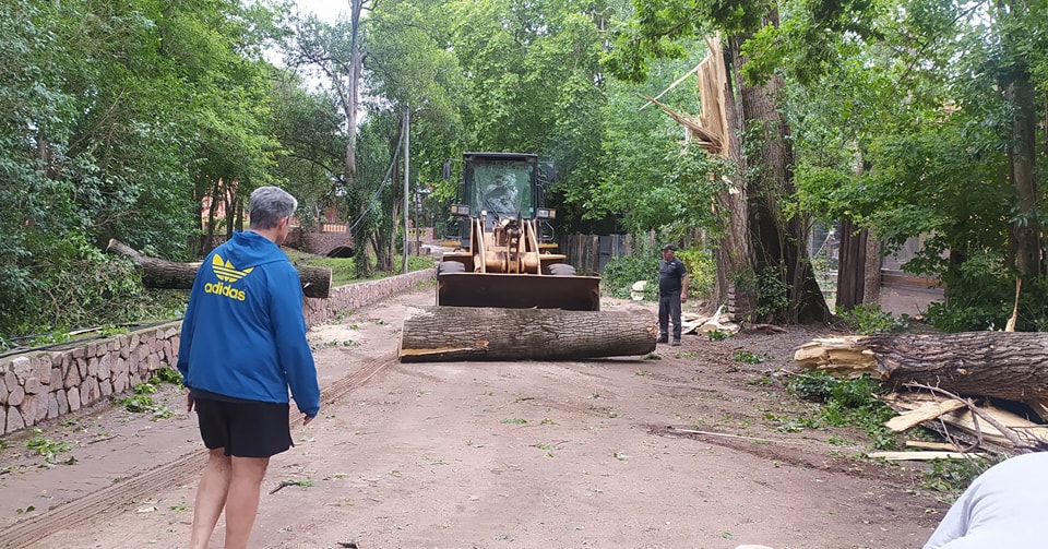 El temporal causó destrozos en Achiras