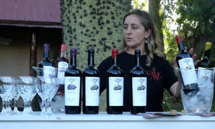 «Alma Minera», un proyecto familiar de Río de Los Sauces