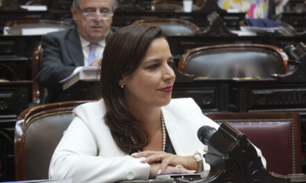 Soledad Carrizo pidió al Poder Ejecutivo Nacional que informe sobre la gestión del Programa Potenciar Trabajo