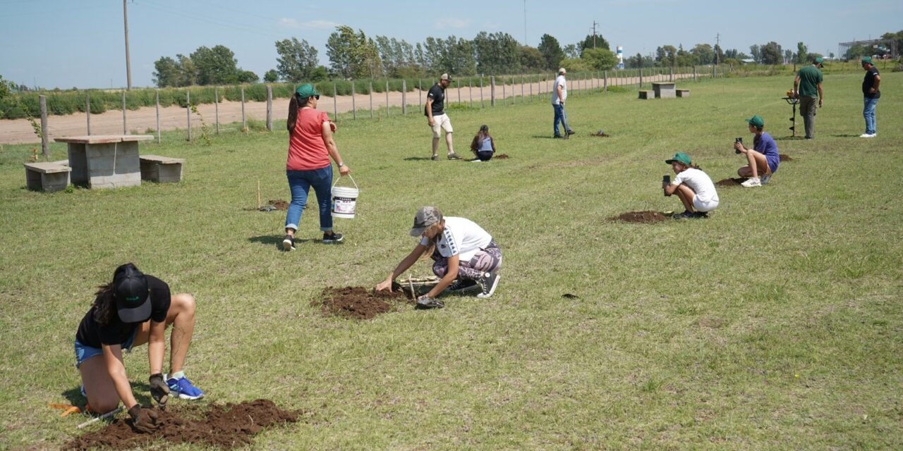 Vicuña Mackenna: se realizó una Jornada de reforestación