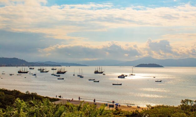 Las olas y el viento: Mar del Plata, Buenos Aires y Florianópolis entre los destinos más buscados para el verano