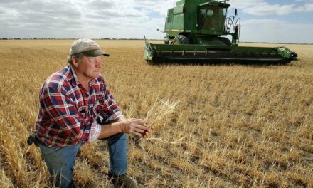 El 59% de la renta en el campo se va en impuestos
