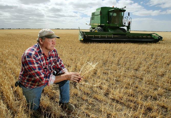 El 59% de la renta en el campo se va en impuestos