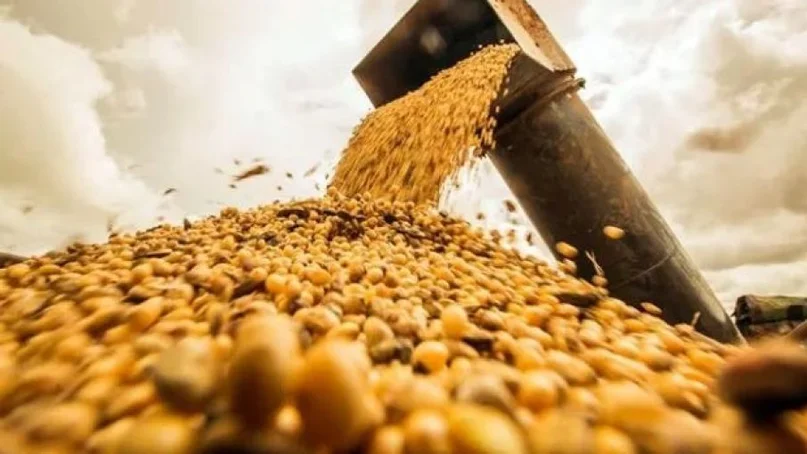 Mercado de Granos y expectativas con la Soja