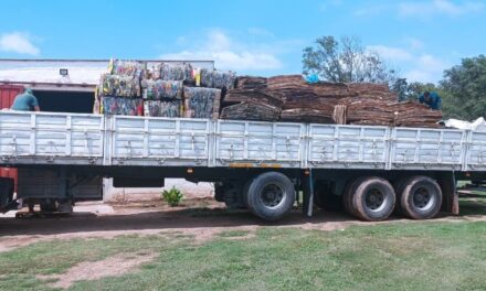 Las Perdices: recuperaron 12.200 kg de material reciclable
