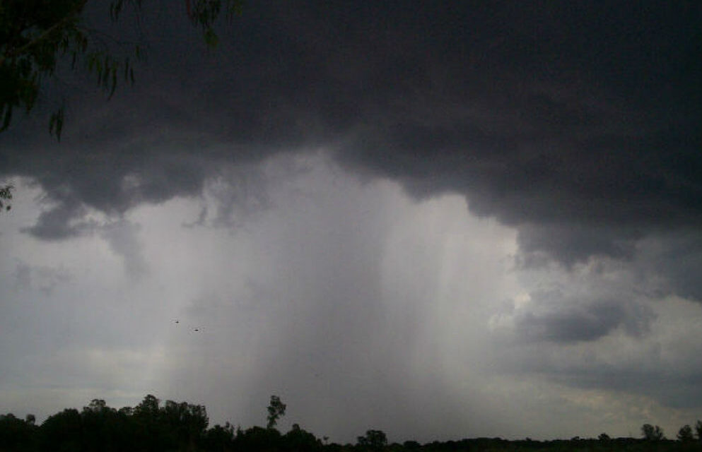 Tormenta en el sur: la Provincia asistió a las zonas afectadas