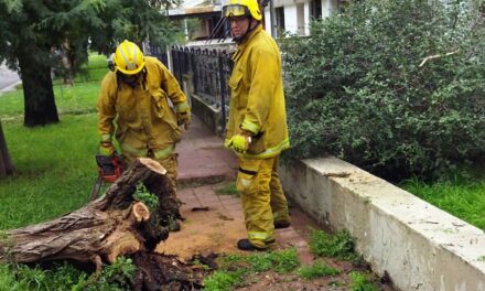 Río Cuarto: tras el temporal asistieron a las familias con viviendas inundadas