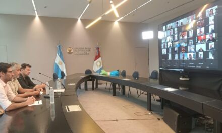 Pieckenstainer: «Mejorar la productividad no es un ajuste del sistema de salud»
