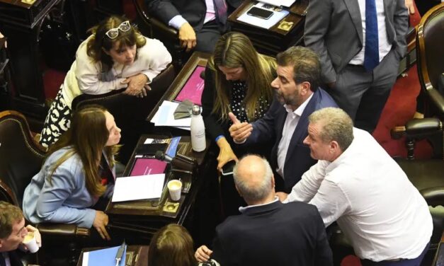 El Pro anticipó un apoyo «sin peros» en Diputados al proyecto de «ley ómnibus» de Milei