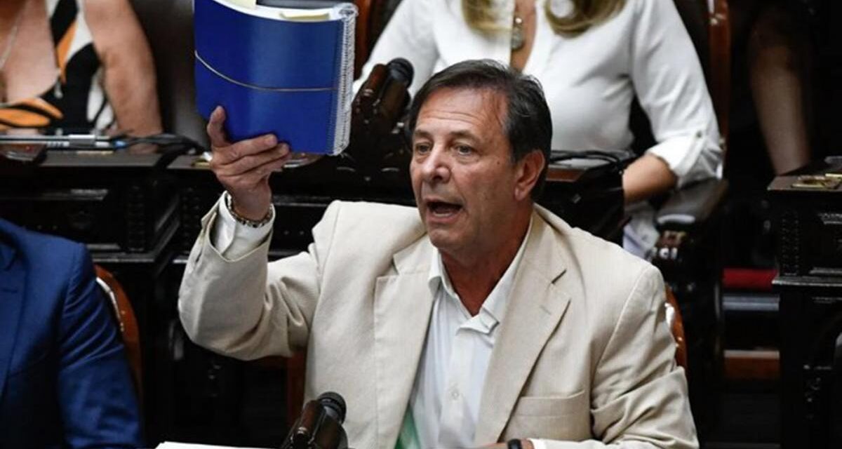 Zago planteó que el Gobierno evalúa dividir «en tres o cuatro leyes distintas» el proyecto ‘Bases’