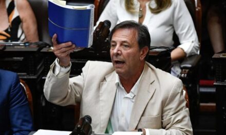 Zago planteó que el Gobierno evalúa dividir «en tres o cuatro leyes distintas» el proyecto ‘Bases’