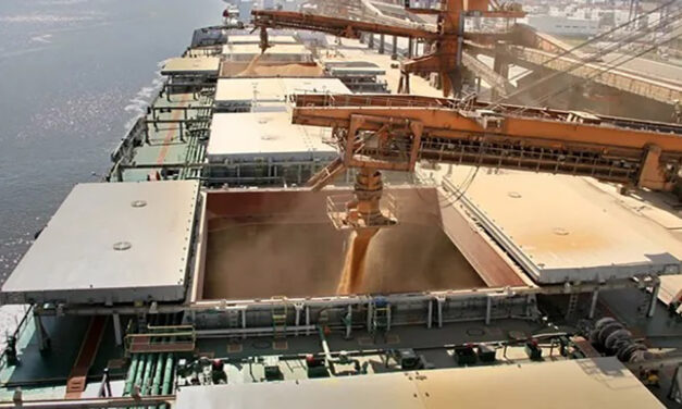 Crece más del 60% la liquidación de divisas de los agroexportadores en enero