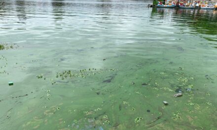 Villa Carlos Paz: Comenzó el operativo de extracción de cianobacterias sin resultados definitivos