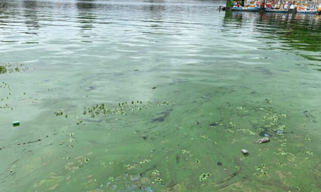 Villa Carlos Paz: Comenzó el operativo de extracción de cianobacterias sin resultados definitivos