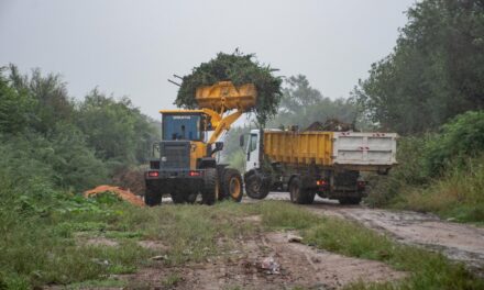 El Municipio de Río Cuarto trabaja en la limpieza de más de 40 microbasurales