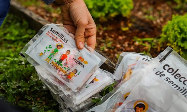 Villa Nueva: Comenzó el Programa ProHuerta