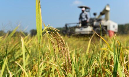 Arias: Se dictará la Diplomatura Universitaria en Gestión de Empresas Agrícolas Ganaderas