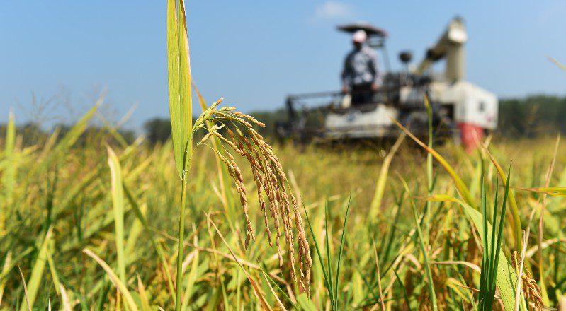 Arias: Se dictará la Diplomatura Universitaria en Gestión de Empresas Agrícolas Ganaderas