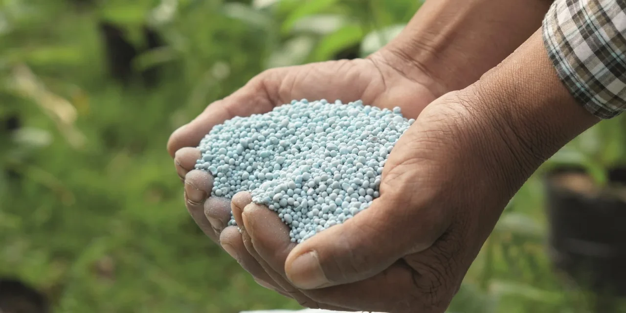 Es récord la importación de urea