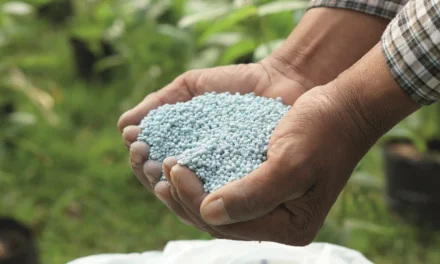 Es récord la importación de urea