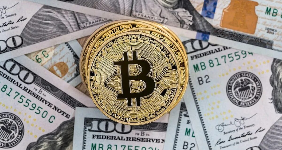 Mundo cripto: con altas expectativas arranca el “halving” de Bitcoin