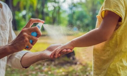 Dengue: frente a las críticas por su inacción, el Gobierno abre la importación de repelentes