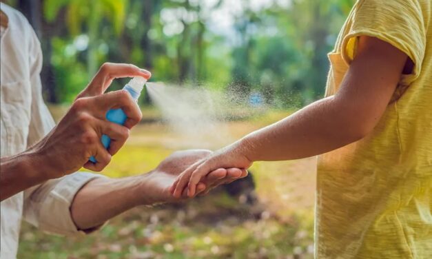 Dengue: frente a las críticas por su inacción, el Gobierno abre la importación de repelentes