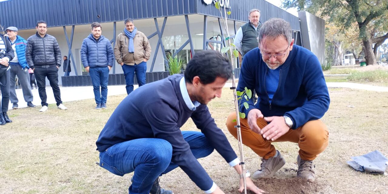 Villa Nueva: El Municipio recibió donaciones de árboles para su campaña «Más Oxígeno»