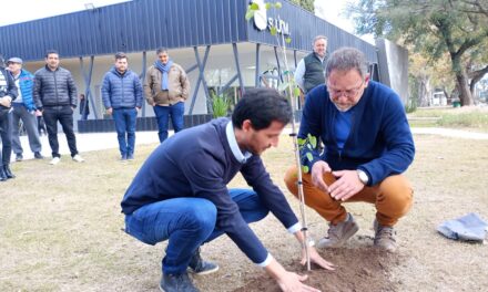 Villa Nueva: El Municipio recibió donaciones de árboles para su campaña «Más Oxígeno»
