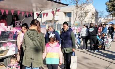 Vicuña Mackenna: Se realizó la Feria de Artesanos y Emprendedores