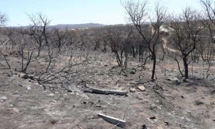 La Provincia declaró el desastre agropecuario por incendios