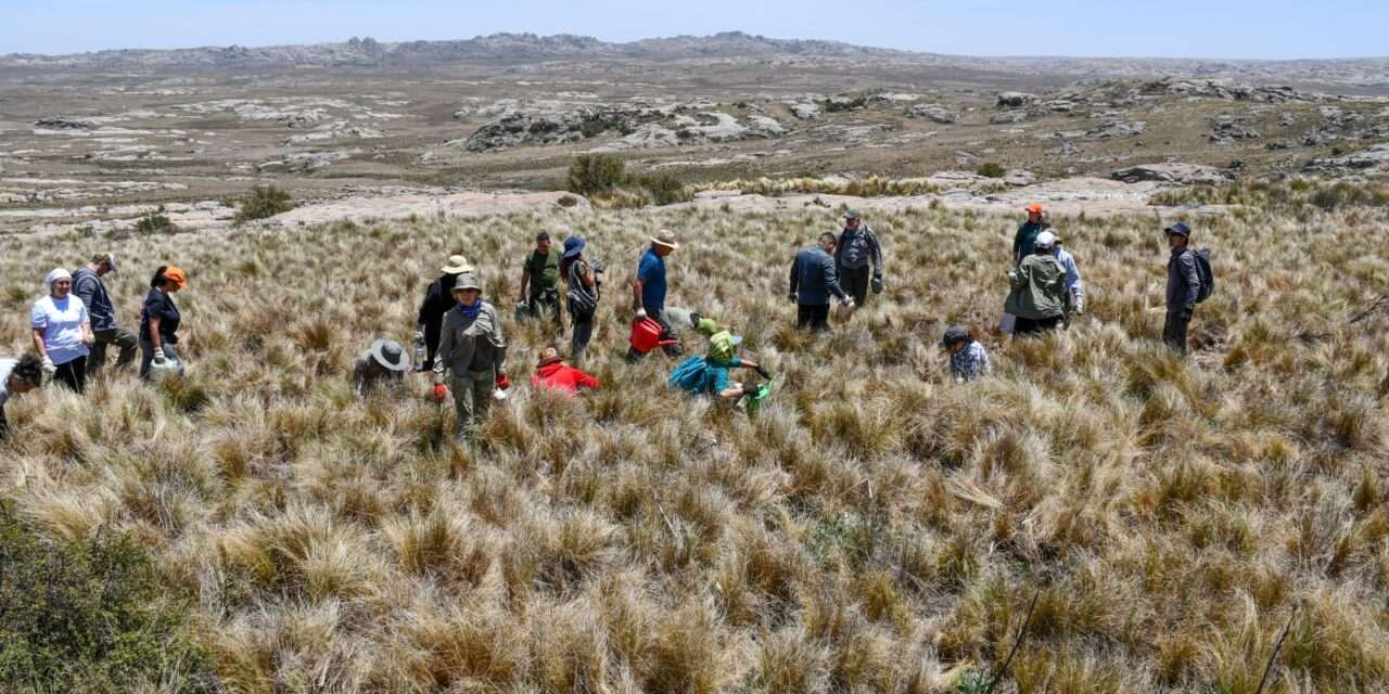 Presentaron el protocolo de acciones para la Restauración Ambiental en zonas incendiadas